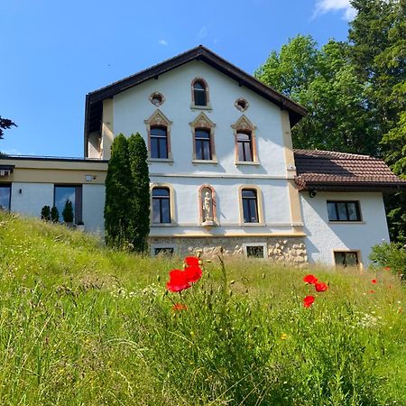 Maison D Hotes Villa Les Pervenches La Chaux De Fonds Екстериор снимка